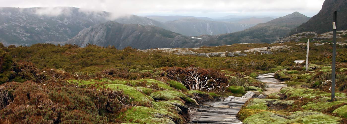 Over every mountain there is a path, although it may not be seen from the valley.